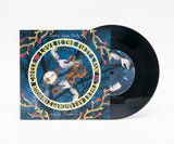 Bonnie "Prince" Billy & broeder Dieleman - Love is the first law / There are worms in your circle 7"