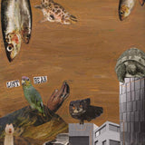 Lost Bear - Limshasa